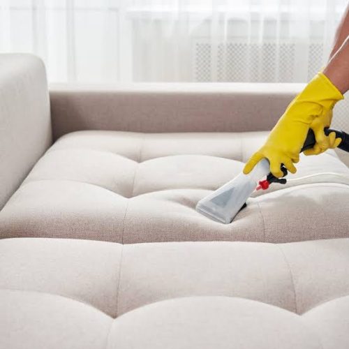 WhatsApp Image 2025-06-01 at 12.19.19